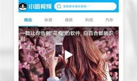 小视频小视频,揭秘创作魅力与传播力量